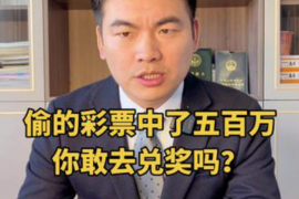 饶平为什么选择专业追讨公司来处理您的债务纠纷？